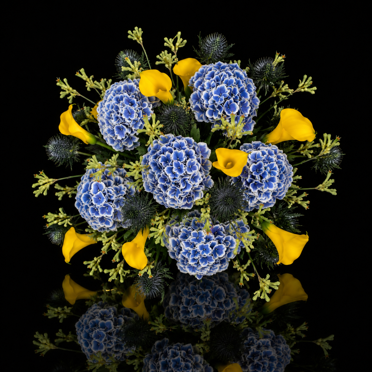 Starburst — top view